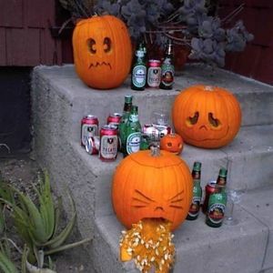 Meet your Posher, Benjamin